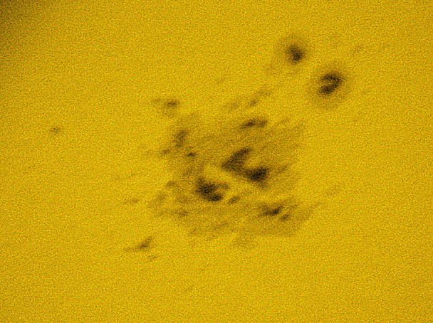 spot1_10_28_03.jpg